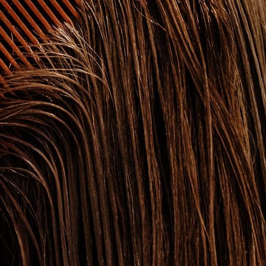 The Magic Maintenance Package at Shear Magic Hair by Lauren in Berlin, MD